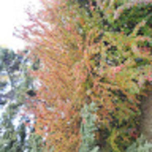 Meet your Posher, Caitlyn